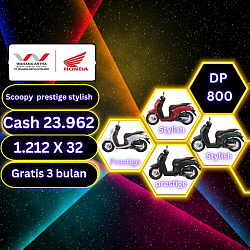 Scoopy prestige dan stylish