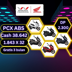 Pcx abs 2024